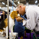 Image for article titled King’s realm: Behind the scenes at the Westminster Dog Show